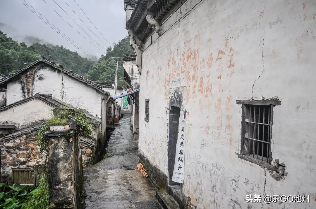 牯牛降直播间回放,石台县牯牛降直播间