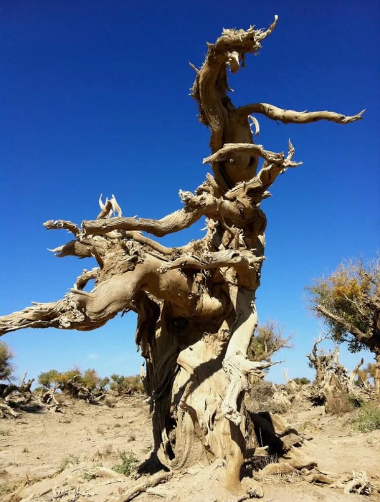 矿山风云评书大全,矿山风云录第一部