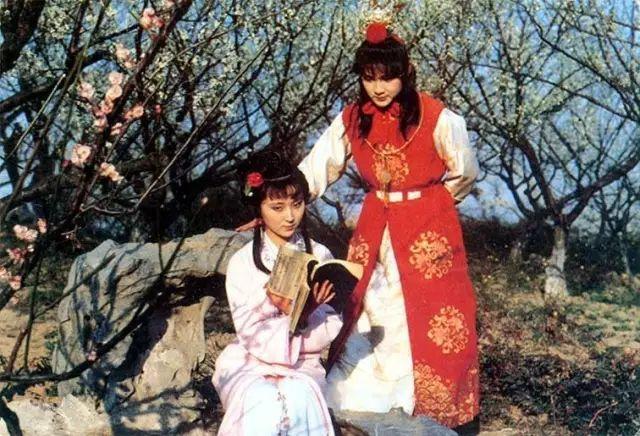 红楼梦英译欣赏,英文版红楼梦古诗