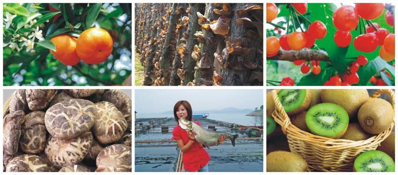 陈东升、阎志来站台,湖北这市又搞大事情