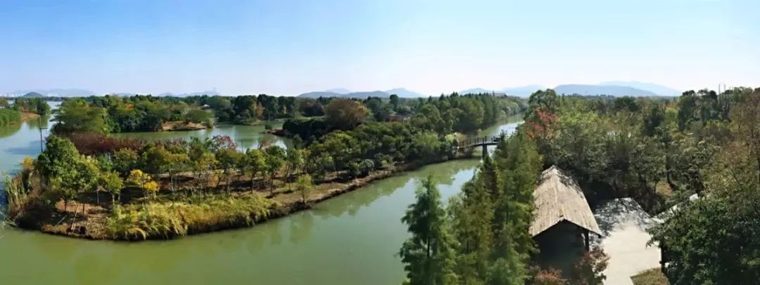 崇明岛西沙湿地公园视频,崇明西沙湿地公园芦苇荡