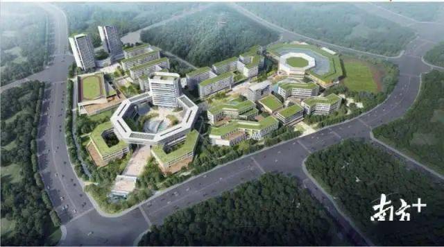 华附和华师附有什么不同,华师和华附系的区别