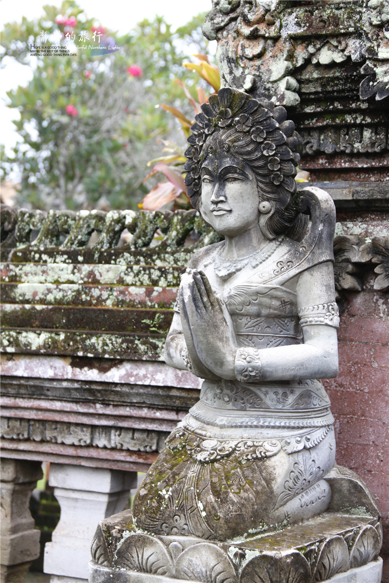 印尼猫屎咖啡比普通咖啡贵几倍,雅丁山印尼猫屎风味咖啡价格