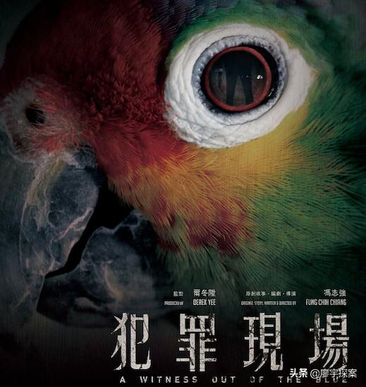 名侦探鹦鹉,名侦探鹦鹉破案