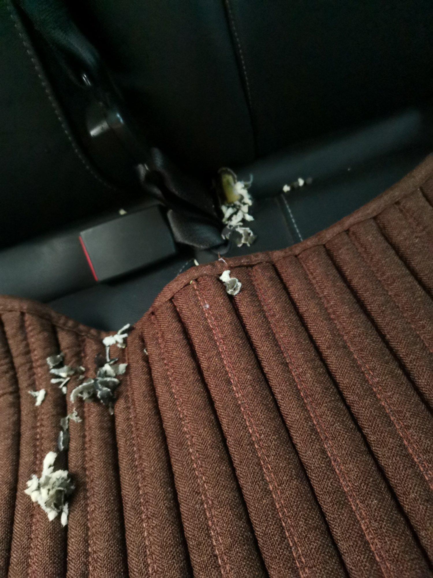 车内捕捉老鼠什么效果最佳,防老鼠进车最好的办法