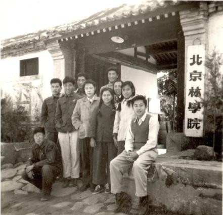 北京林业大学为什么排名靠后,北京林业大学学科水平