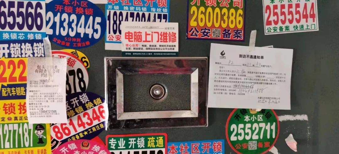 养鸡场与蟑螂,蟑螂尸体成片