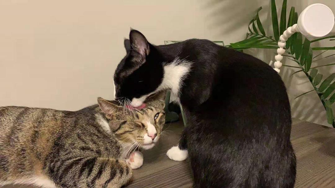 从焦虑不安到淡定从容,从焦虑快速走向正常生活轨迹