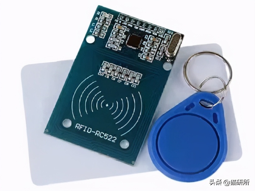 宠物猫植入芯片有什么要注意的,猫咪植入芯片注意事项