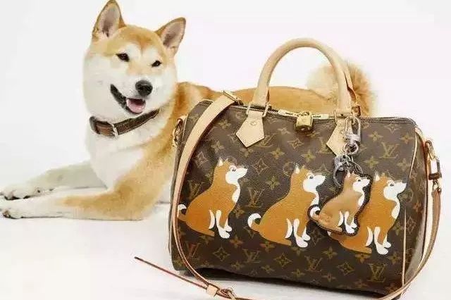 即将告别猪年,即将告别2019迎接新的一年