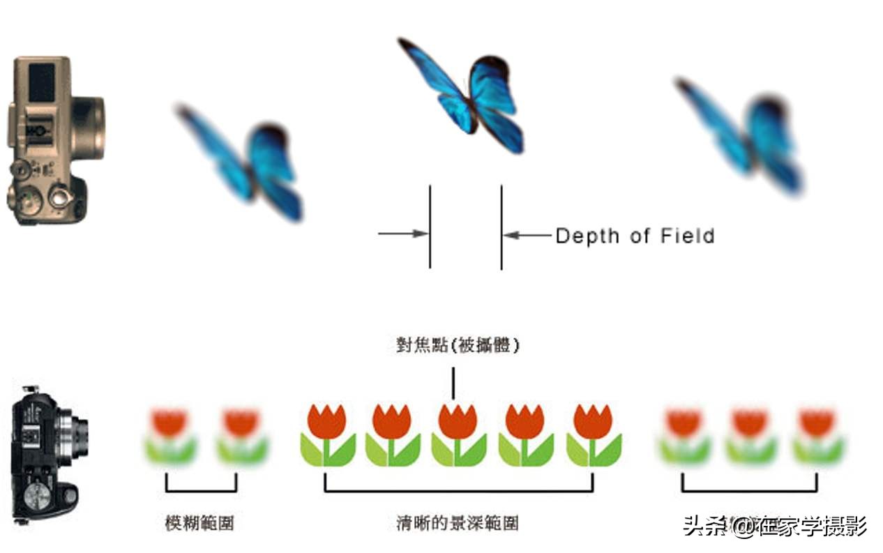 随手抓拍人像风光图片,随手一拍就是风光大片