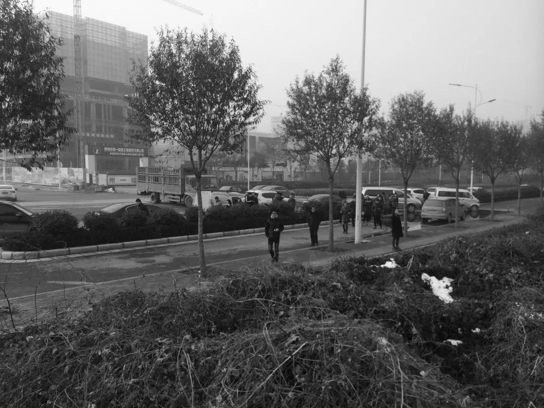 郑州市郑东新区花卉园林景观区,郑东新区象湖景观绿化工程