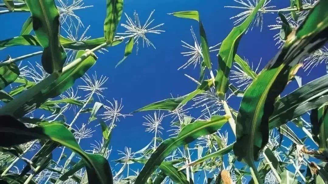 做什么行业比房地产好赚钱,现在除了房地产还有什么赚钱行业