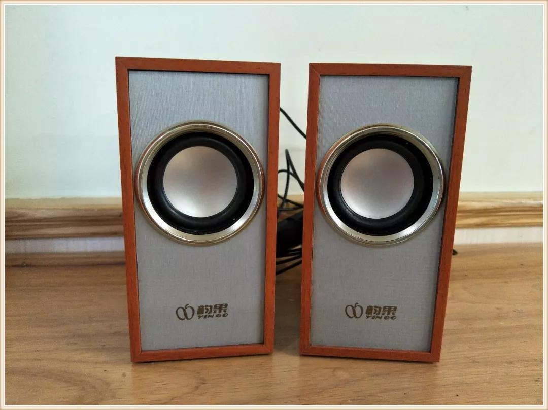 环境创设主题墙大班动物,可爱的小动物大班环境创设