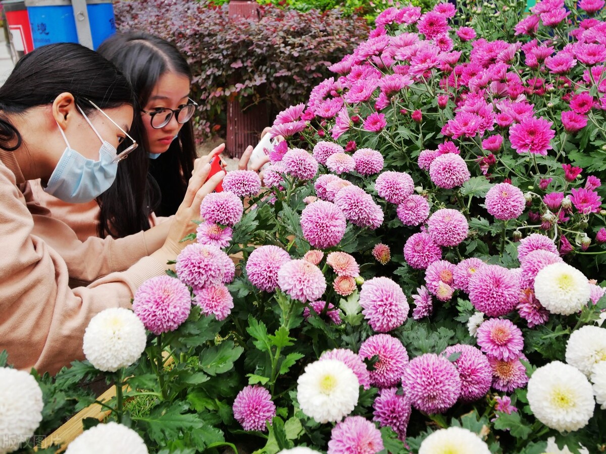 一线城市医学高等专科排名,广州一线学校名单