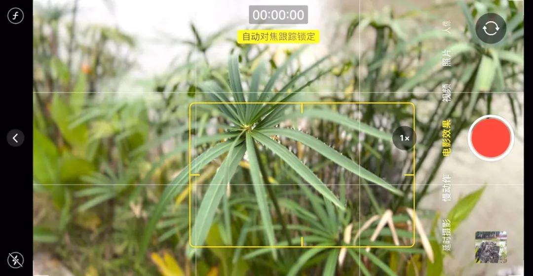iphone相机人像拍摄技巧,新手必看最新iphone相机教学