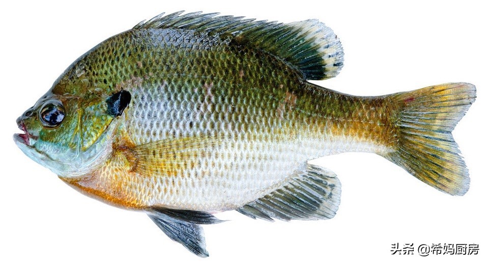 我家常吃这几种鱼，鱼刺少、肉质细嫩还没有腥味，有孩子的必收藏