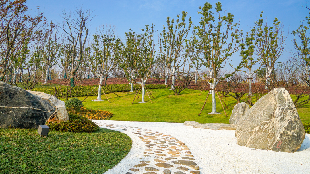 佛顶牛首山旅游攻略,牛首山佛顶宫和佛光山