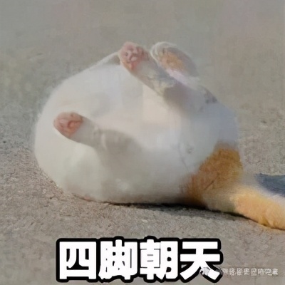 “我半夜不小心摸了猫的肛门腺，被臭到当场裂开！”