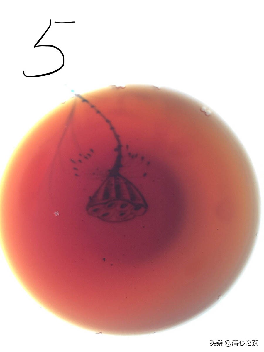 熟茶有霉点,买普洱茶最怕什么
