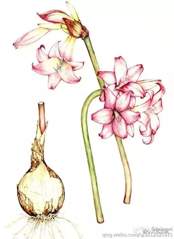 学而时习之不思则罔,学而时习之不亦苦乎