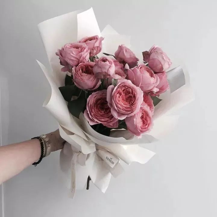 经典咏流传芦花,玫瑰花经典咏流传