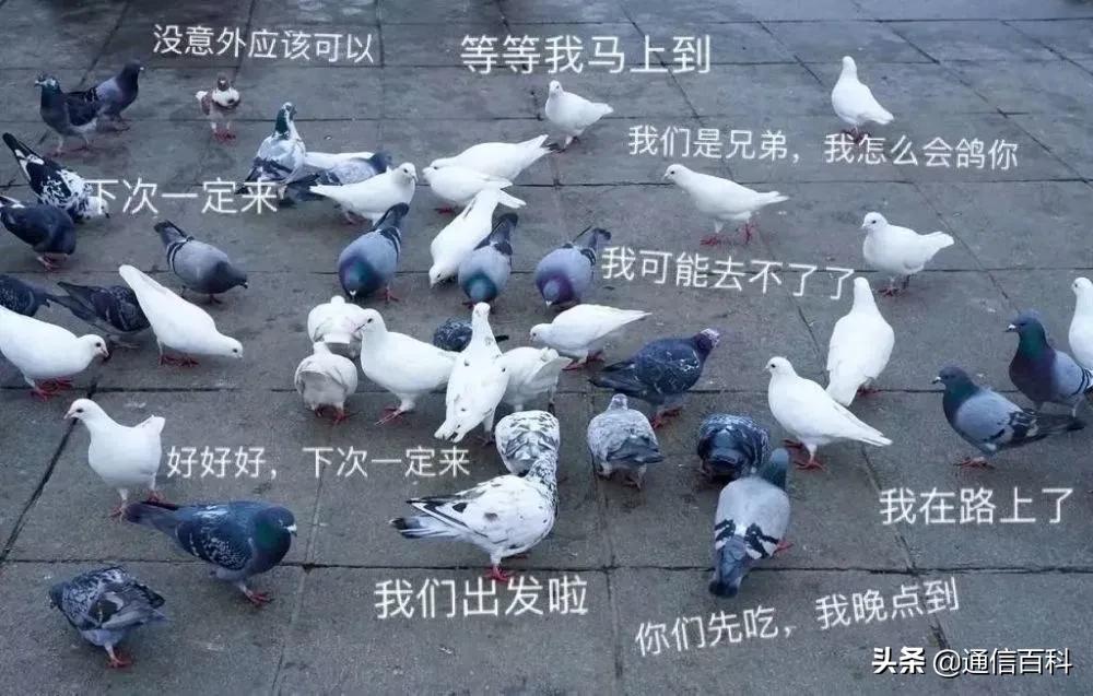 电信运营商软硬件系统架构,怎样建立像三大运营商这样的网络