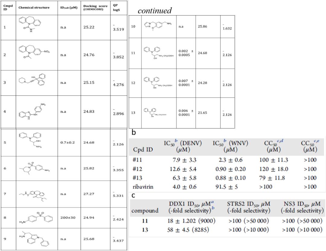 JMC|靶向DDX3X特定结构域的计算策略发现高选择性*制剂抑**