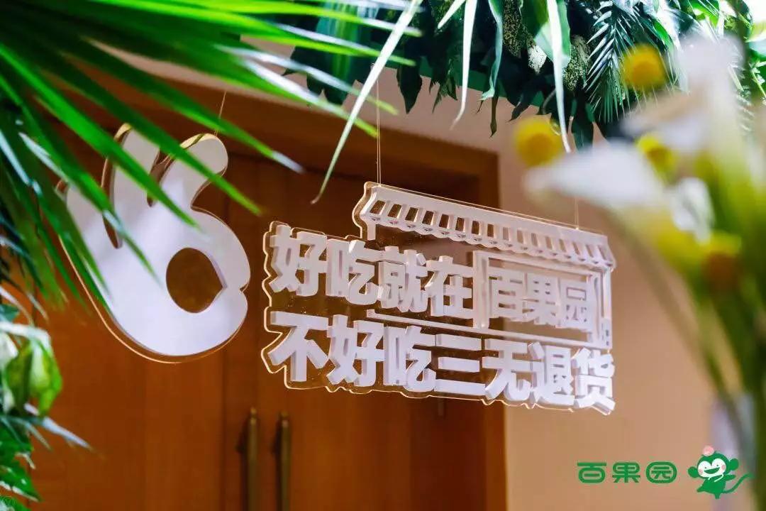 菜种种植,菜的种植时间方法及管理