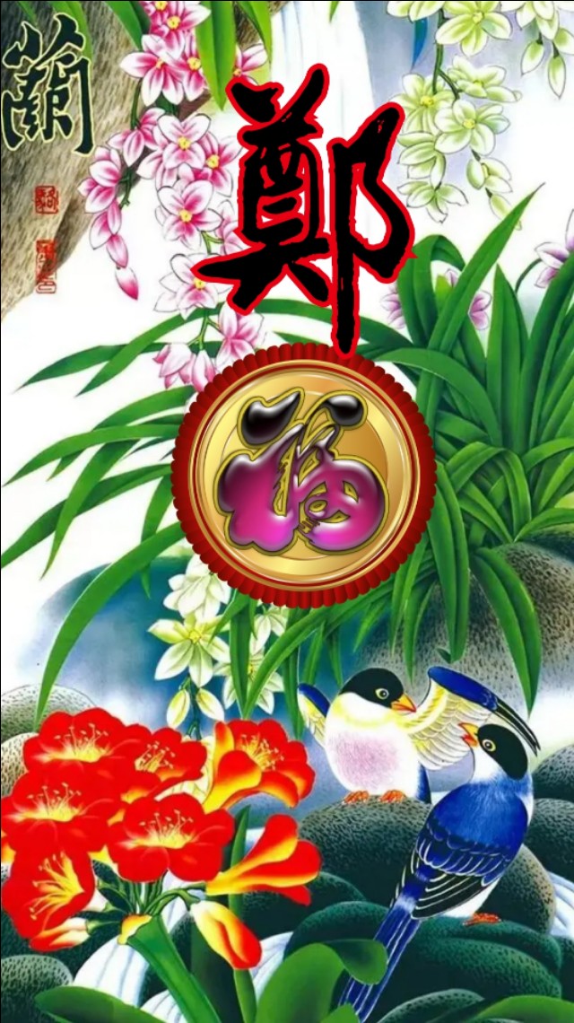 精美兰花壁纸图,兰花高贵壁纸