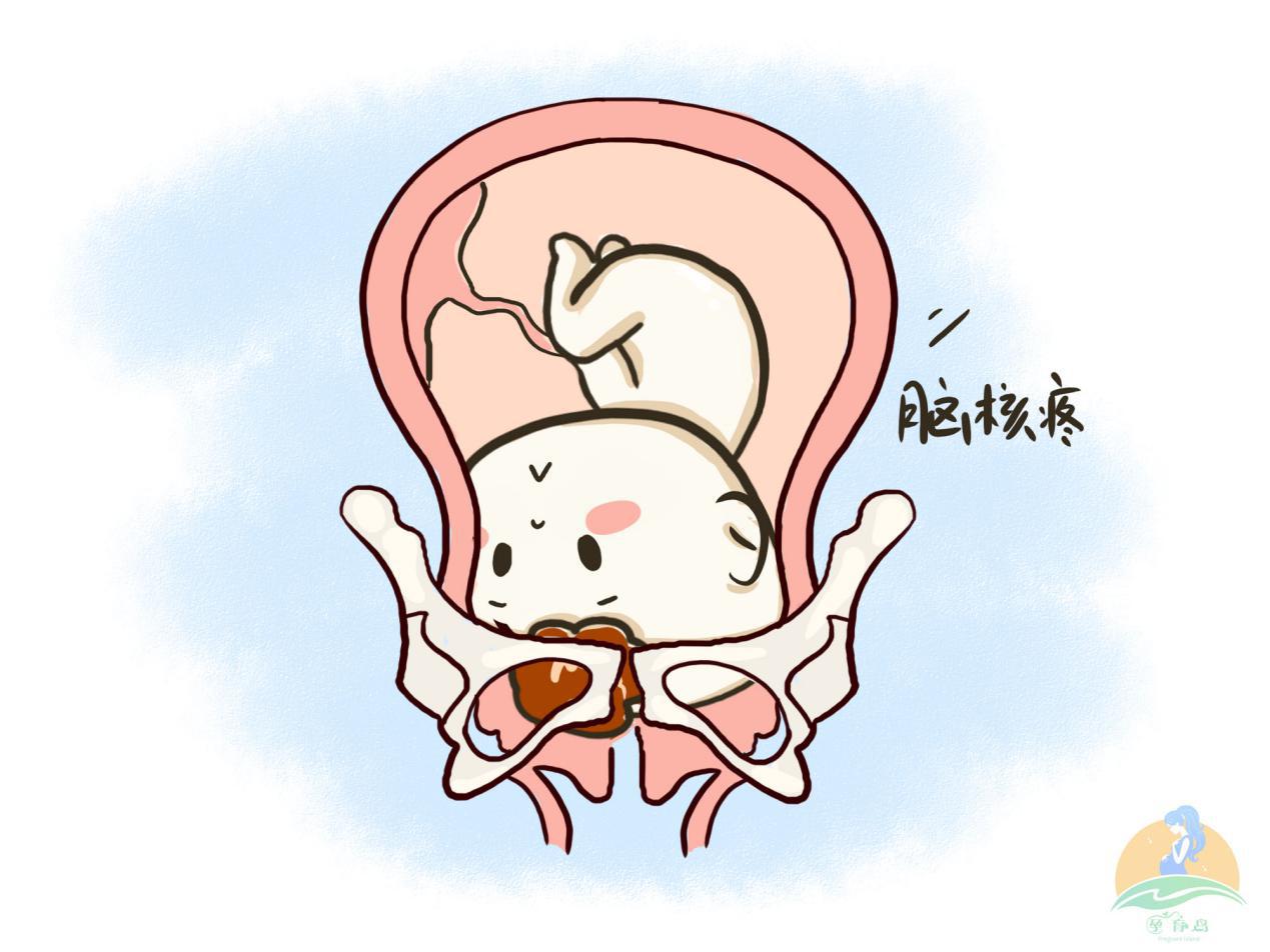 男医师一阳指是什么,男大夫一阳指