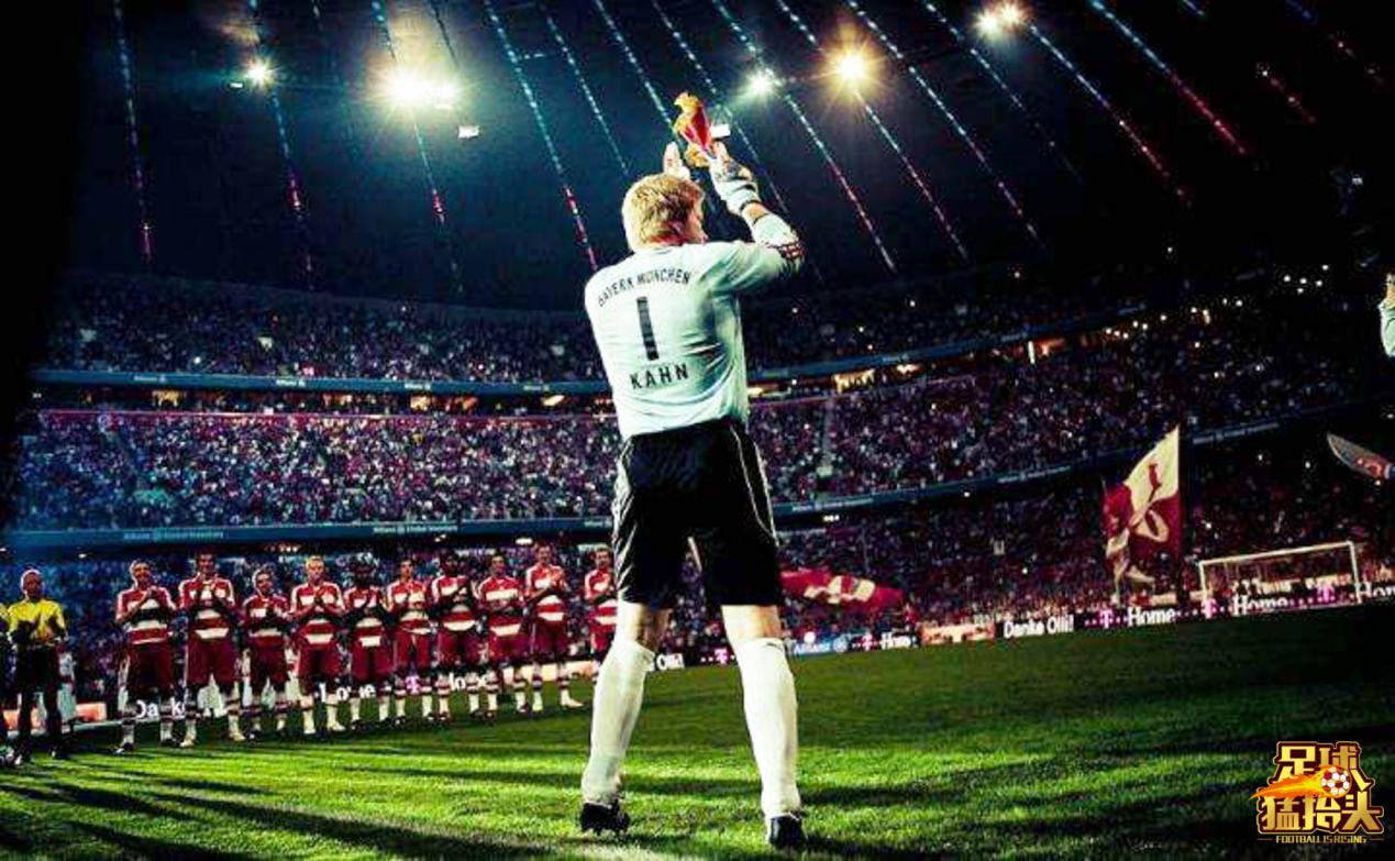 坚韧不拔顽强不屈的狮王,坚韧不拔永不放弃的狮王