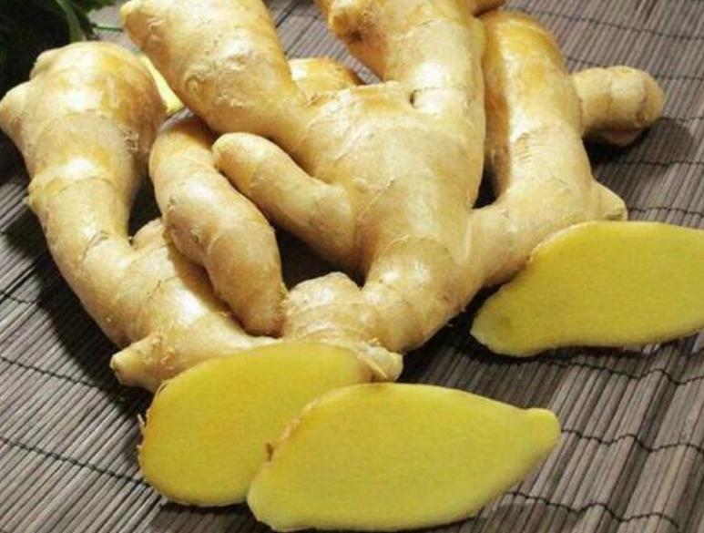 煲狗肉的做法教程,煲狗肉放什么菜最好吃