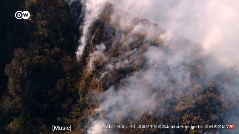 第4027回：气候*弹炸**亚洲纸浆，水上烟泥炭地退化