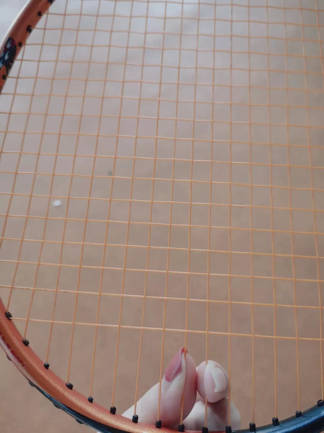 怎么挑选一款适合自己的羽毛球拍,怎么选择一支适合自己的羽毛球拍