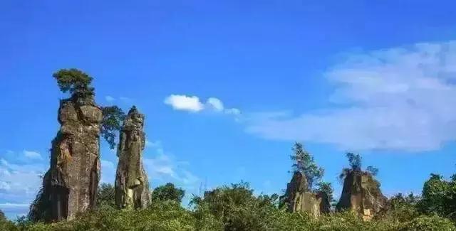 今天，我要夸夸我的通江