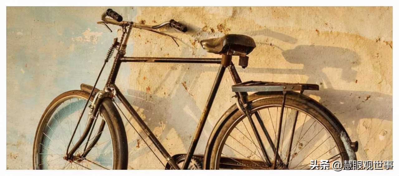 故事片透明的红萝卜完整版,透明的红萝卜有声小说免费