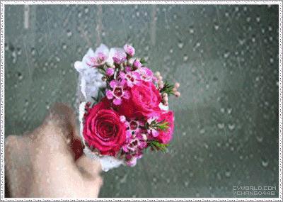 今夜有雨敲窗完整版,今夜有雨敲窗将我从睡梦中惊醒