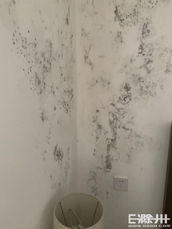 墙纸发霉撕下后墙壁有霉斑,气候潮湿墙纸发霉严重怎么办