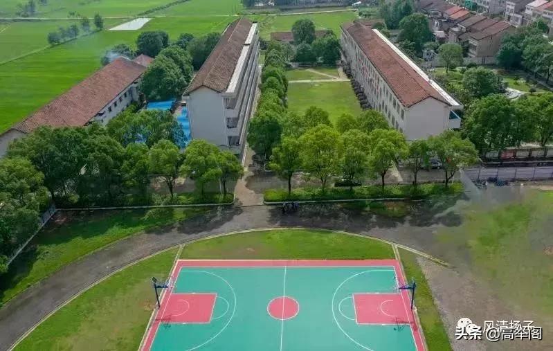 系列散文——李淑孟:我们的学校是花园(之二十)