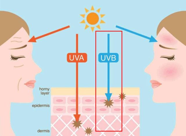 2022网红爆款防晒,网红防晒正品