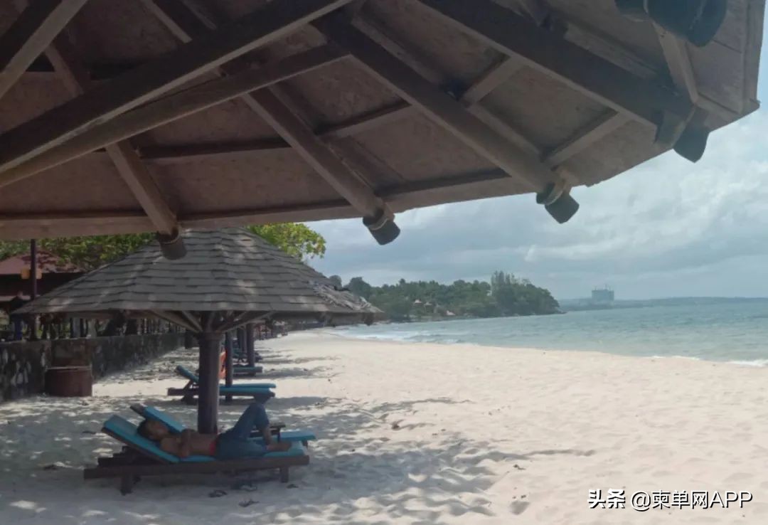 到西港投资被骗30万！沦为“流浪汉”睡海边遭驱赶……