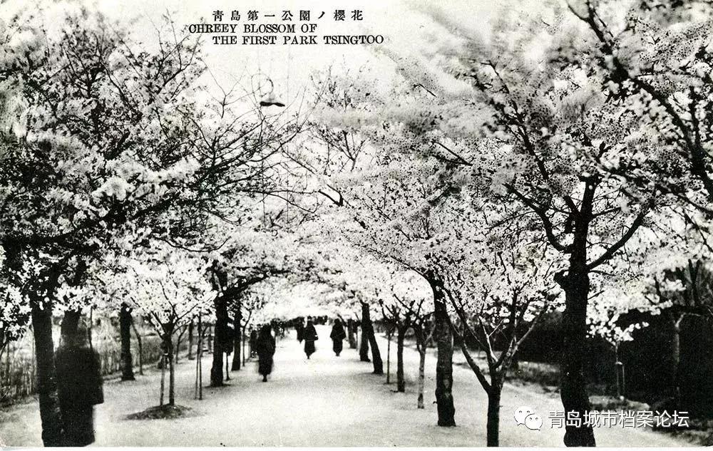 青岛城市记忆公园,青岛十景图片