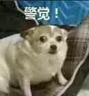 为什么戴隐形眼镜有异物感,戴隐形眼镜有种异物感