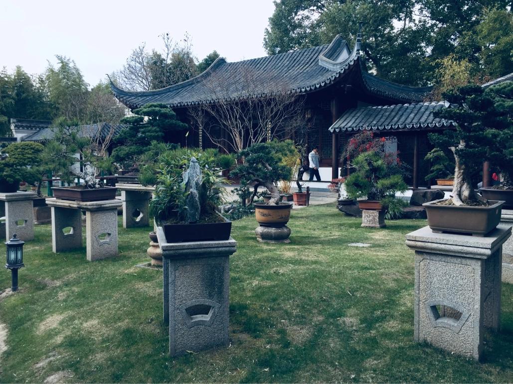 上海古猗园餐厅,上海古猗园详细地址