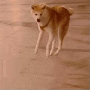 夏季内衣干货怎么选购的,内衣怎么挑轻便舒适点好