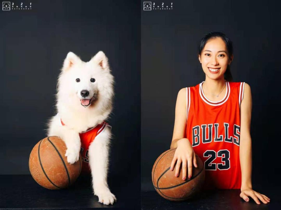 宠物摄影的生意经,宠物摄影店铺创业
