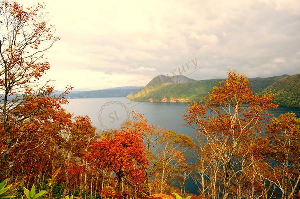 从东京到北海道坐船的费用,北海道旅游多少费用报团