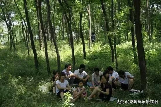 陕西哪三个县被评为天然氧吧,陕西中国天然氧吧之城