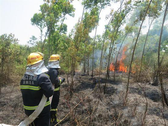 海南踏青,春季踏青出游交通安全提示